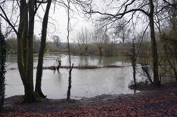 4. From Heyford Road, January 12.jpg